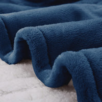 Heated Blanket Twin Navy Electric Blanket Throw with 10 Heat Settings/Safety 10 Hours Auto-Off Dual Controllers 62"X84"